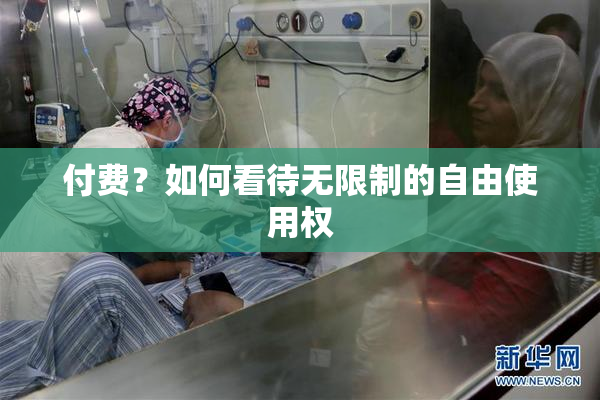 付费？如何看待无限制的自由使用权
