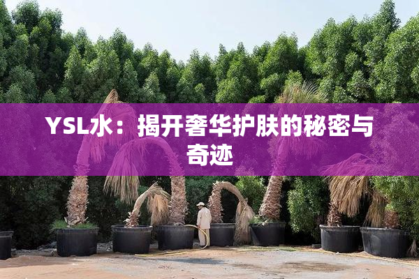 YSL水：揭开奢华护肤的秘密与奇迹