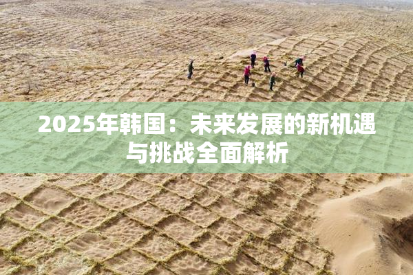 2025年韩国：未来发展的新机遇与挑战全面解析