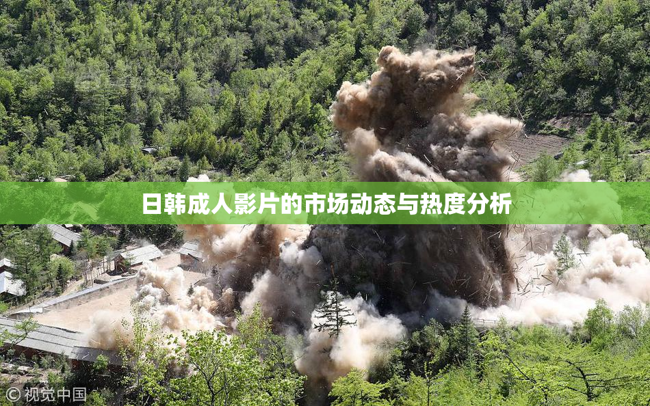 日韩成人影片的市场动态与热度分析