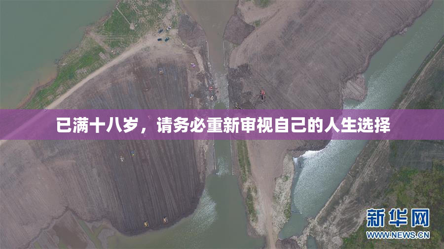 已满十八岁，请务必重新审视自己的人生选择