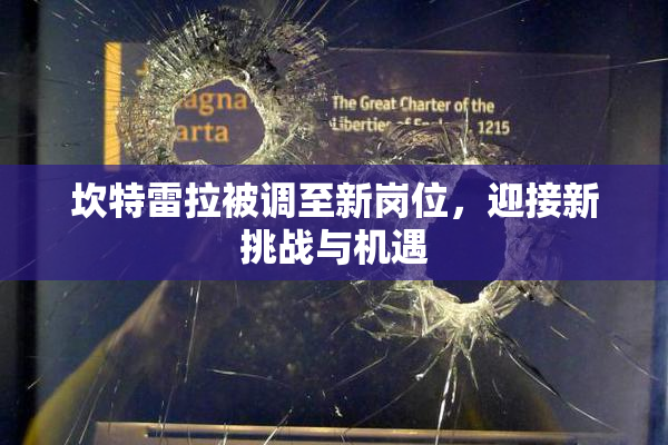 坎特雷拉被调至新岗位，迎接新挑战与机遇