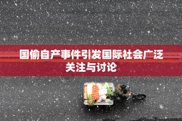 国偷自产事件引发国际社会广泛关注与讨论