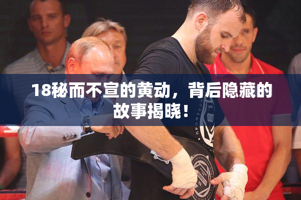 18秘而不宣的黄动，背后隐藏的故事揭晓！