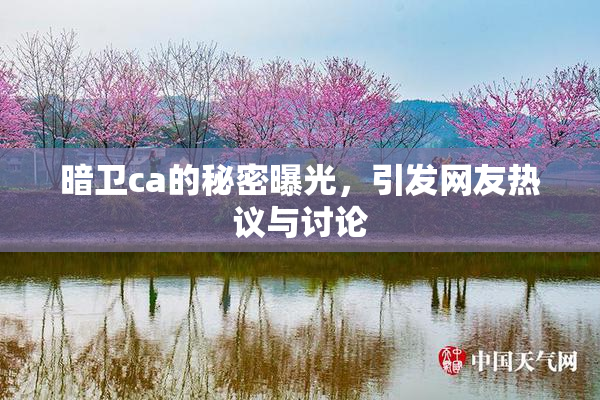 暗卫ca的秘密曝光，引发网友热议与讨论