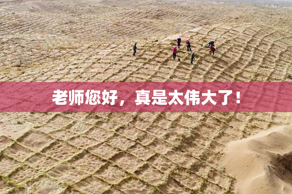 老师您好，真是太伟大了！