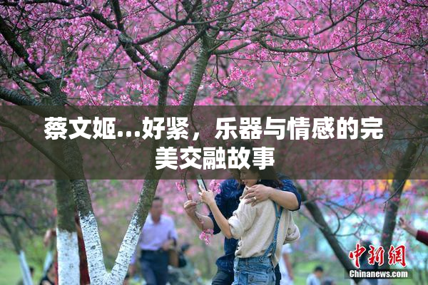 蔡文姬…好紧，乐器与情感的完美交融故事