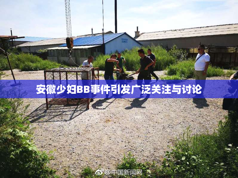 安徽少妇BB事件引发广泛关注与讨论