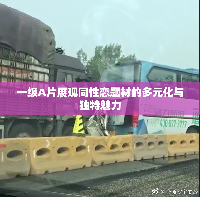 一级A片展现同性恋题材的多元化与独特魅力