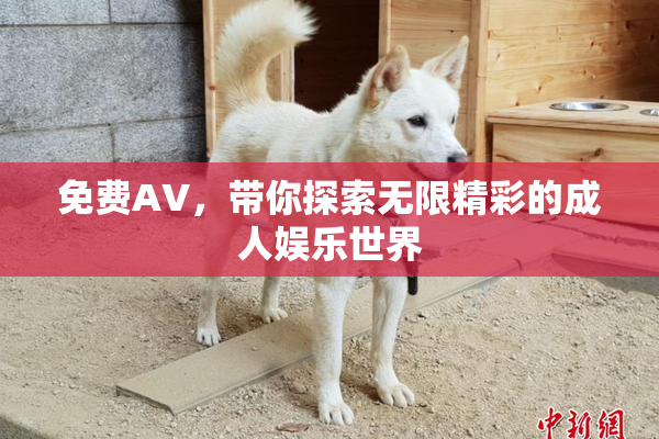 免费AV，带你探索无限精彩的成人娱乐世界
