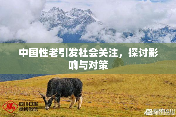 中国性老引发社会关注，探讨影响与对策