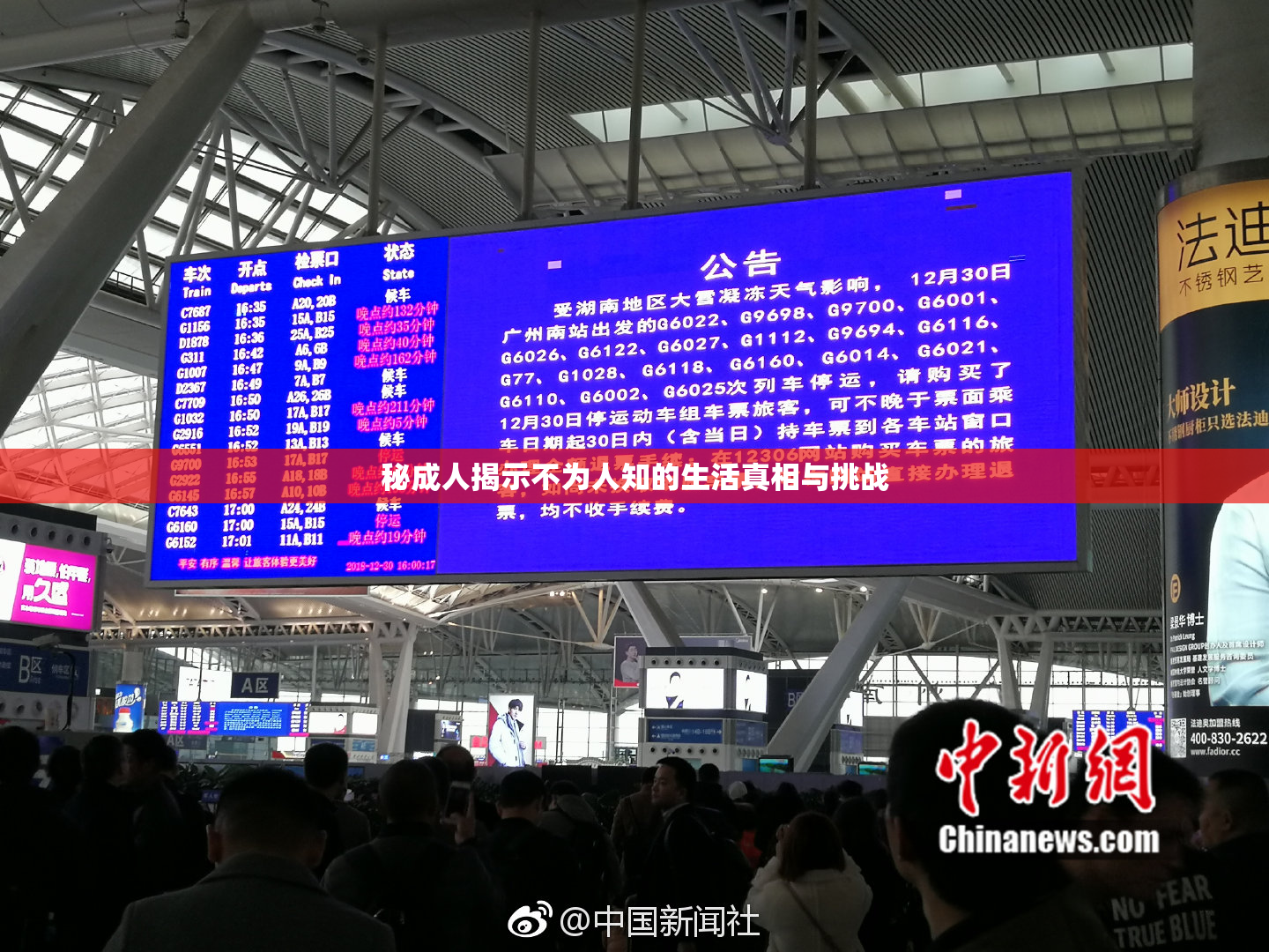 秘成人揭示不为人知的生活真相与挑战