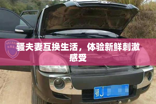 骚夫妻互换生活，体验新鲜刺激感受