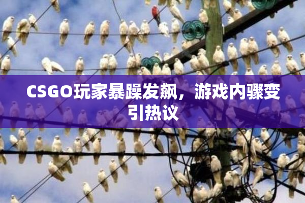 CSGO玩家暴躁发飙，游戏内骤变引热议