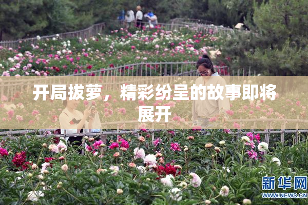 开局拔萝，精彩纷呈的故事即将展开
