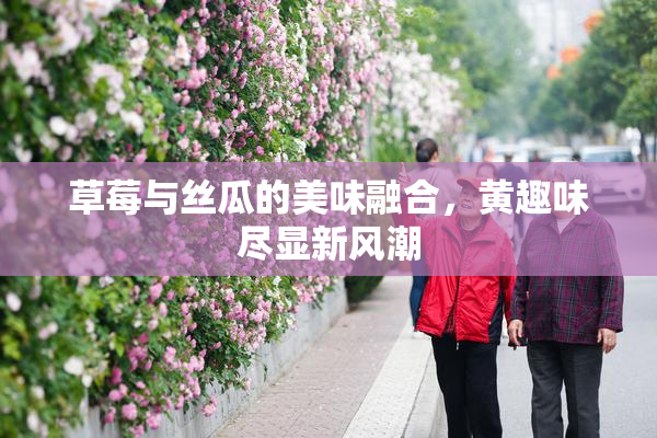 草莓与丝瓜的美味融合，黄趣味尽显新风潮