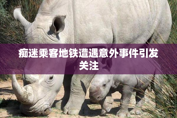 痴迷乘客地铁遭遇意外事件引发关注