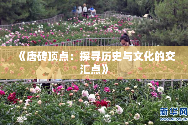 《唐砖顶点：探寻历史与文化的交汇点》
