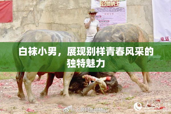 白袜小男，展现别样青春风采的独特魅力