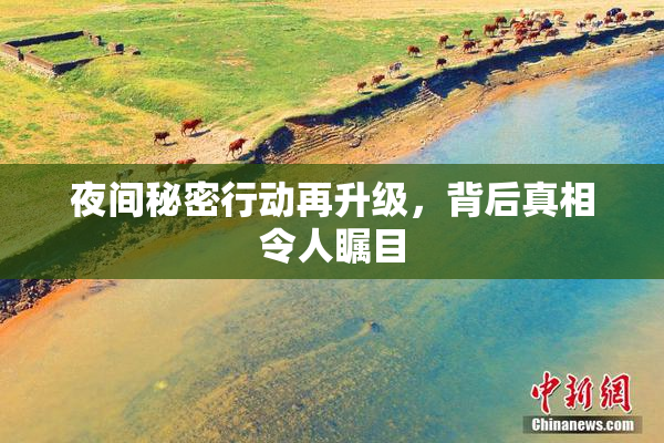 夜间秘密行动再升级，背后真相令人瞩目