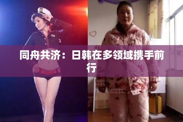 同舟共济：日韩在多领域携手前行