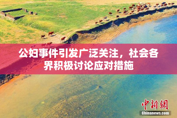 公妇事件引发广泛关注，社会各界积极讨论应对措施