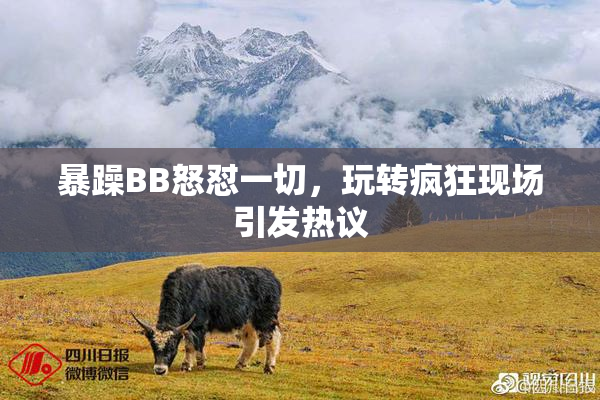 暴躁BB怒怼一切，玩转疯狂现场引发热议