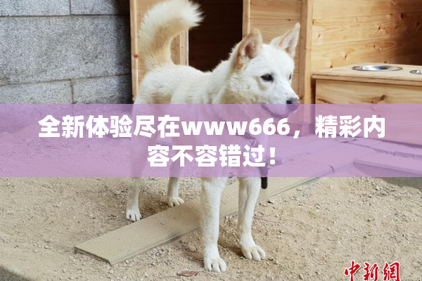 全新体验尽在www666，精彩内容不容错过！