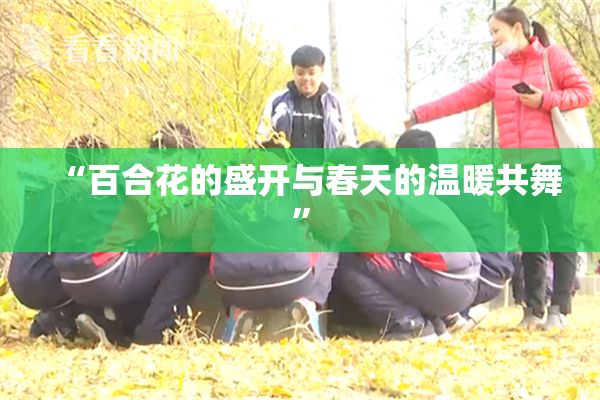 “百合花的盛开与春天的温暖共舞”
