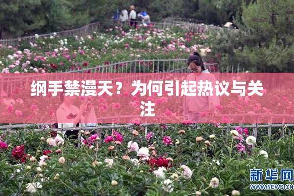 纲手禁漫天？为何引起热议与关注