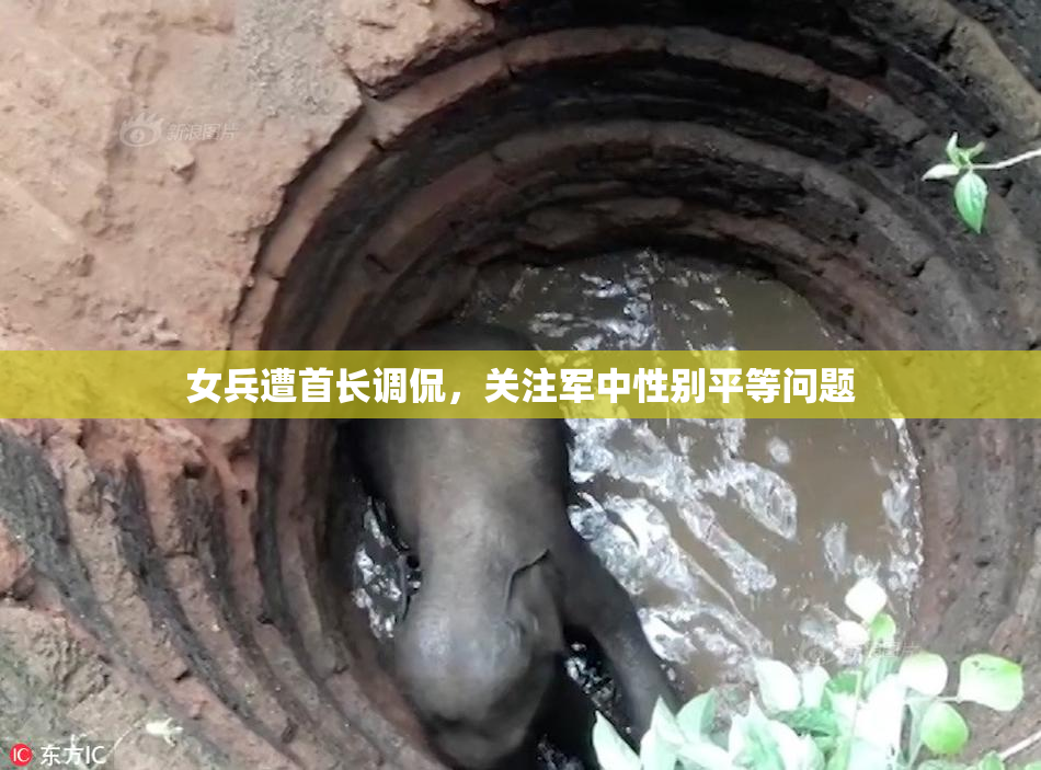 女兵遭首长调侃，关注军中性别平等问题