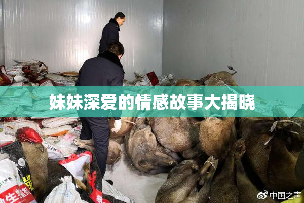 妹妹深爱的情感故事大揭晓