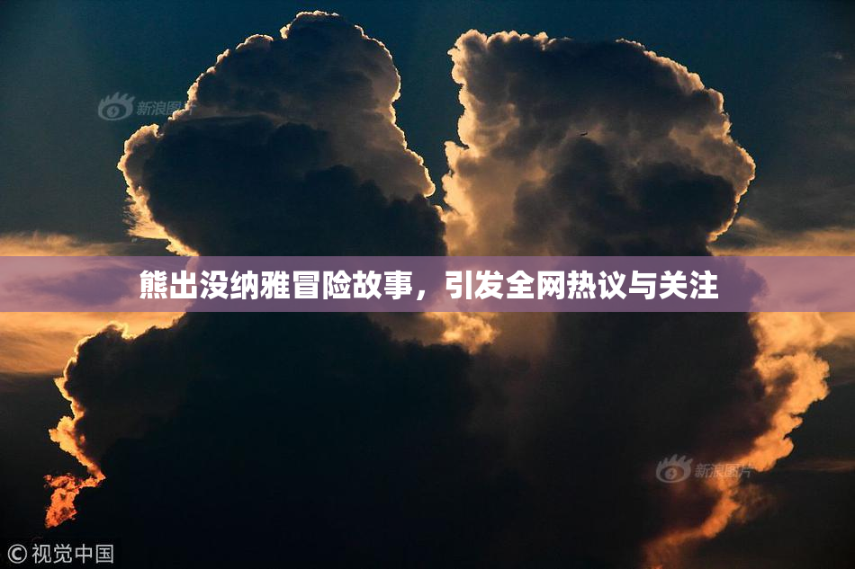 熊出没纳雅冒险故事，引发全网热议与关注