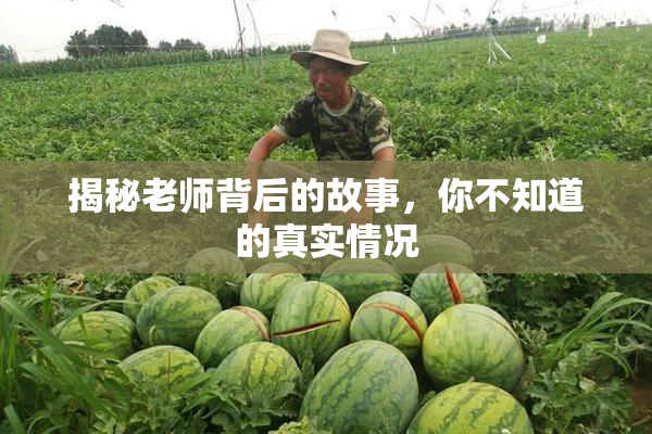 揭秘老师背后的故事，你不知道的真实情况