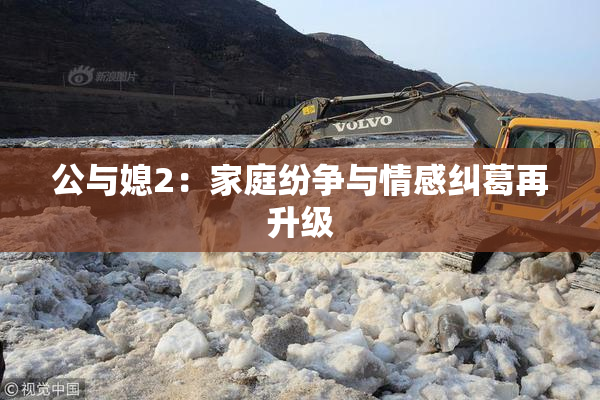 公与媳2：家庭纷争与情感纠葛再升级