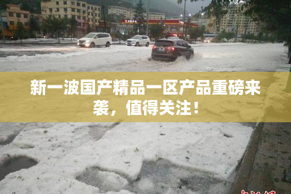 新一波国产精品一区产品重磅来袭，值得关注！