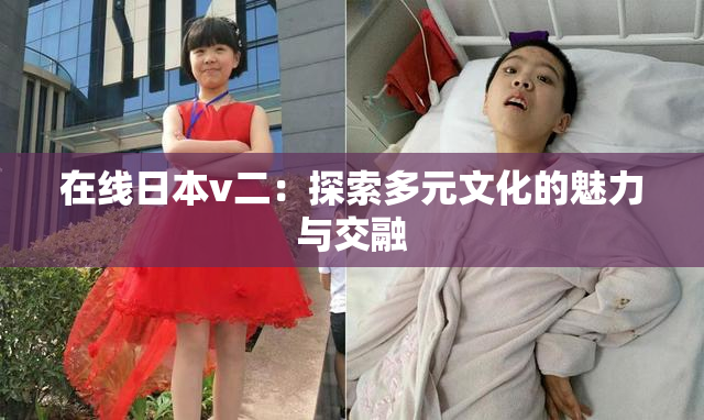 在线日本v二：探索多元文化的魅力与交融