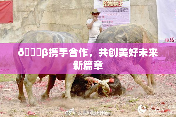 👙β携手合作，共创美好未来新篇章