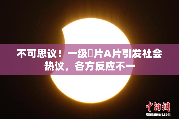不可思议！一级婬片A片引发社会热议，各方反应不一