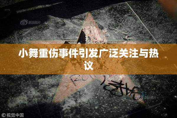 小舞重伤事件引发广泛关注与热议