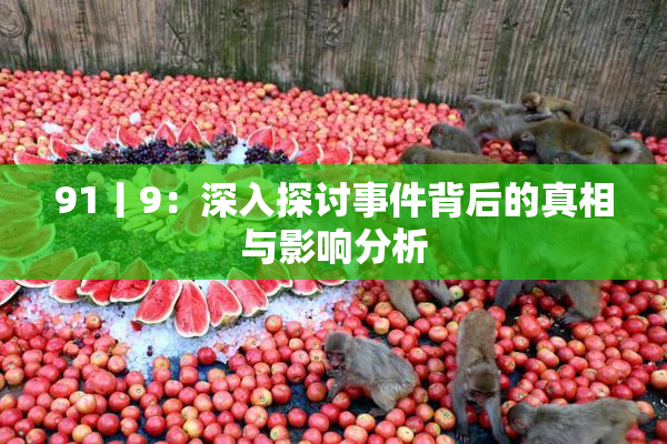 91丨9：深入探讨事件背后的真相与影响分析
