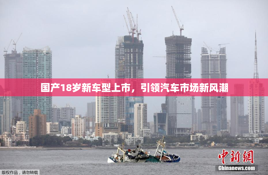 国产18岁新车型上市，引领汽车市场新风潮