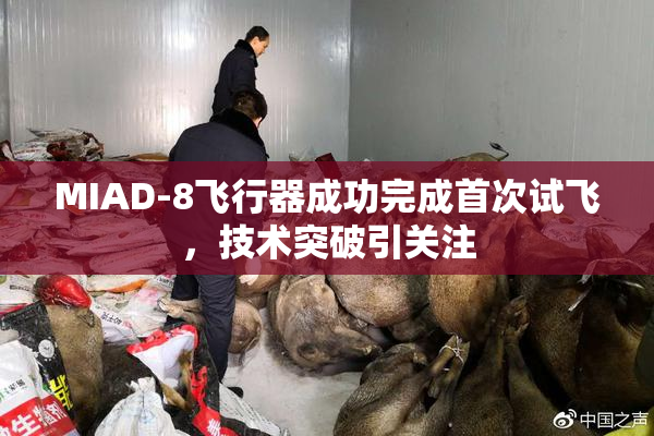 MIAD-8飞行器成功完成首次试飞，技术突破引关注