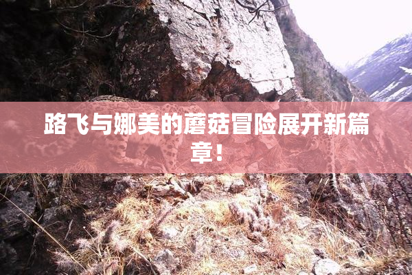 路飞与娜美的蘑菇冒险展开新篇章！