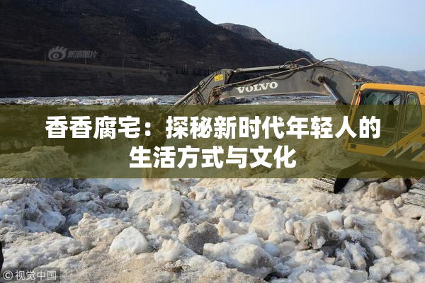 香香腐宅：探秘新时代年轻人的生活方式与文化