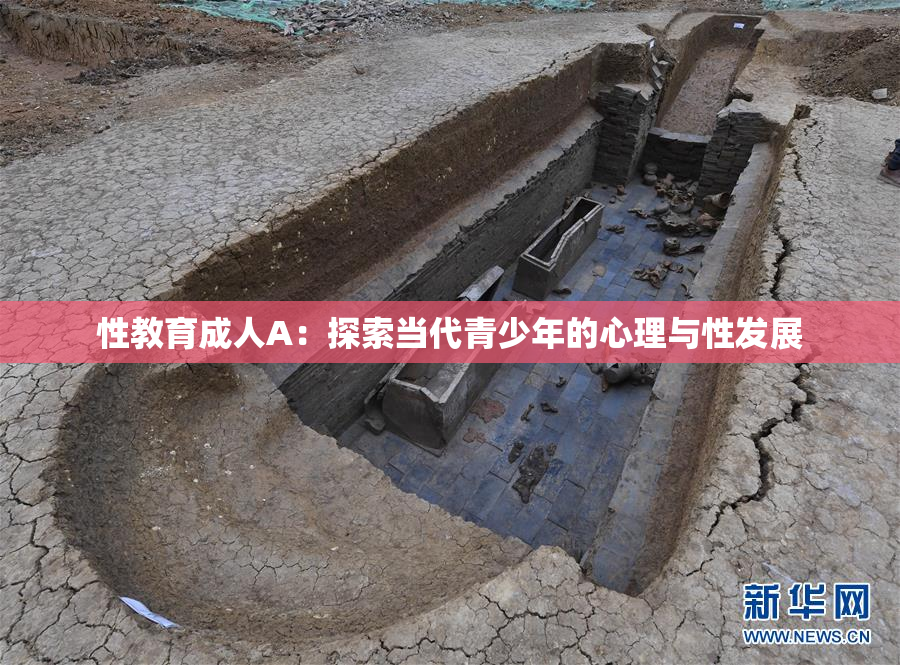 性教育成人A：探索当代青少年的心理与性发展