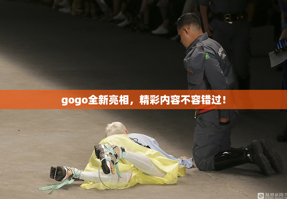 gogo全新亮相，精彩内容不容错过！