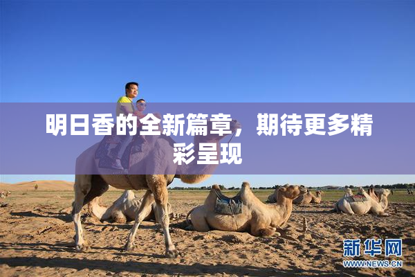 明日香的全新篇章，期待更多精彩呈现