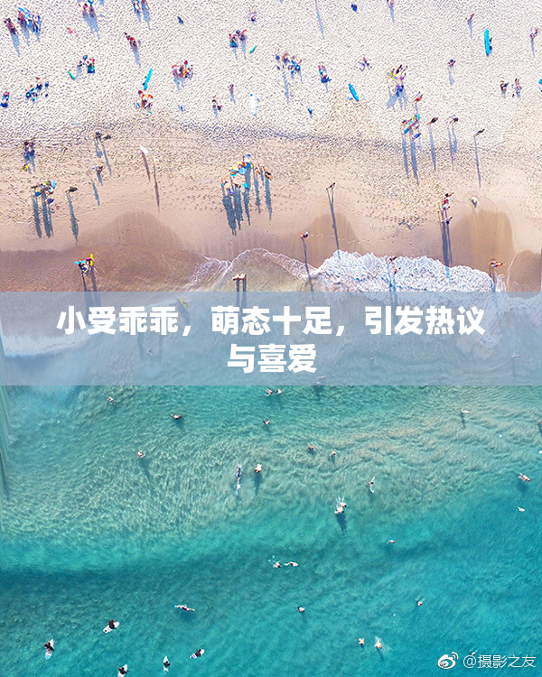 小受乖乖，萌态十足，引发热议与喜爱