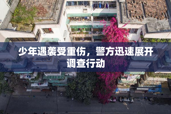 少年遇袭受重伤，警方迅速展开调查行动